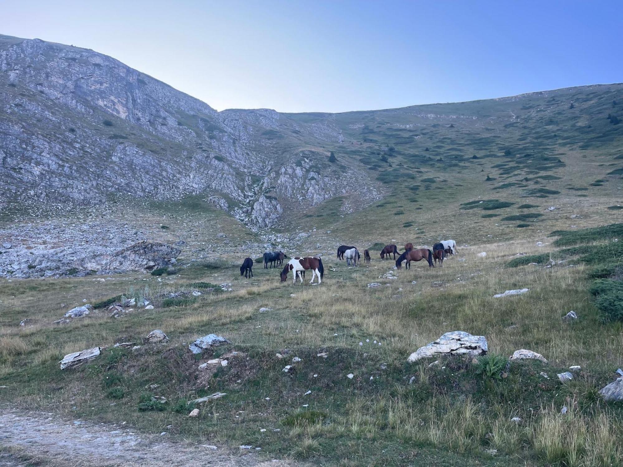 Villa 80 Kodra E Diellit Tetovo Exteriér fotografie